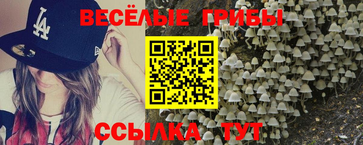 Псилоцибиновые грибы мицелий  Псилоцибиновые грибы Magic Shrooms  Вход с VPN  Саянск 